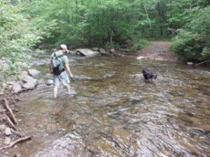 I can't forgot to give credit to my hiking side kicks . . . Chip and Quincy!