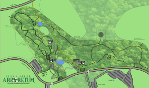 click on this map image for a better view 