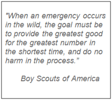 boy scout quote