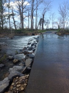 dryriveronslabrd.500