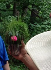 A unique find of the day: grass-haired guy.