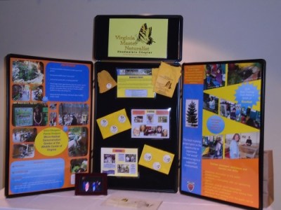 Display Board - Newport News.500