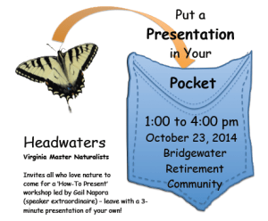 pocketpresentationflyer