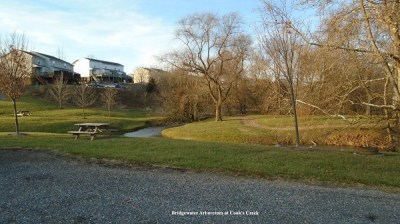 Bridgewater Arboretum at Cooks Creek.600