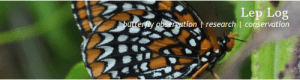 leplog