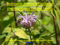 ncrs.pollinatorfriendlyplants
