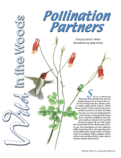 pollinationpartners.carolheiser