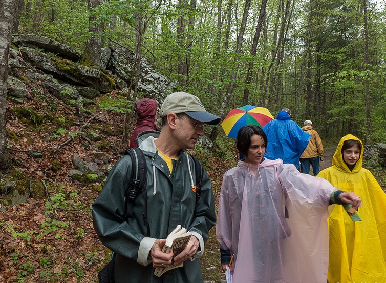 Wildflower Walks and Diversity Dash 2015