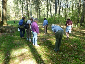 HoneQuarry.5.8.15.300