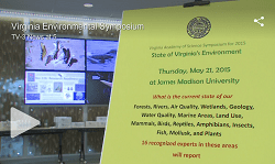 TV3VAEnvironmnet.250