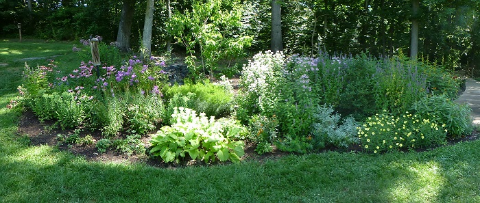 Arboretum Monarch Garden July 31, 2015. Photo by Carl Droms.