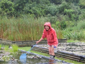 Judy at Frog Habitat Day. Photo credit: Peggy Plass.