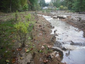 Arboretum stream on October 2, three days after flooding.