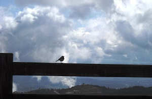 Weather Everywhere and Climate in the Shenandoah Valley
