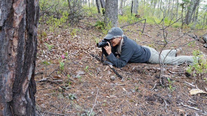 PeggyscoutingReddishKnobforBirding.wildlifetrail