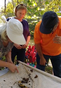 benthicmonitoring10-16-16-300