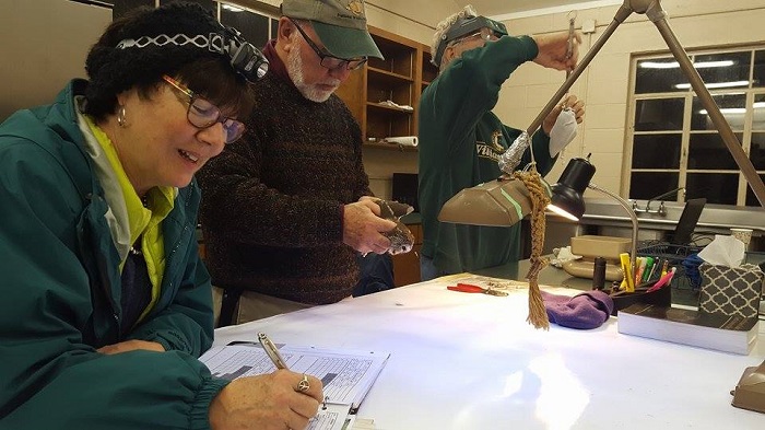 owlbanding11-6-16-2-km-700