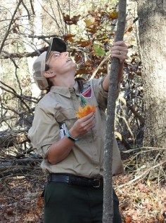 treeid-pp-5-pattin-crop2