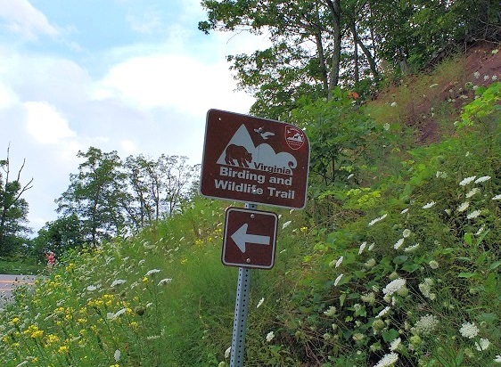 VBWT Adopt-A-Trail Update
