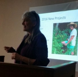 peggyprojectsreport1-21-17-sg