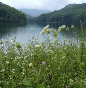 SwitzerLakeJuly2016.crop