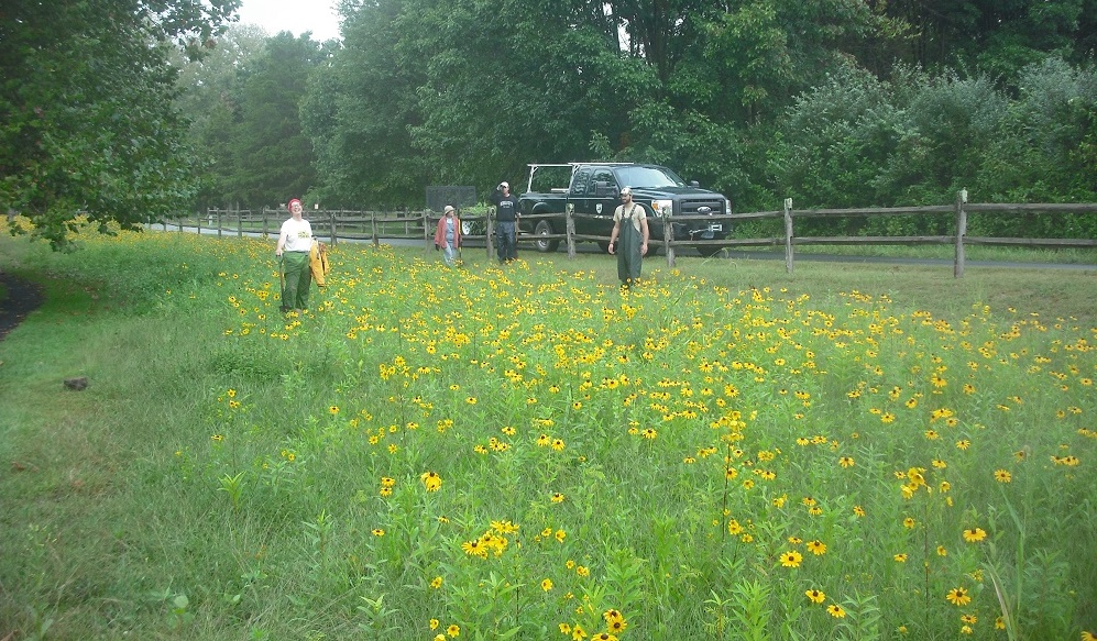 Pollinator Habitat Training