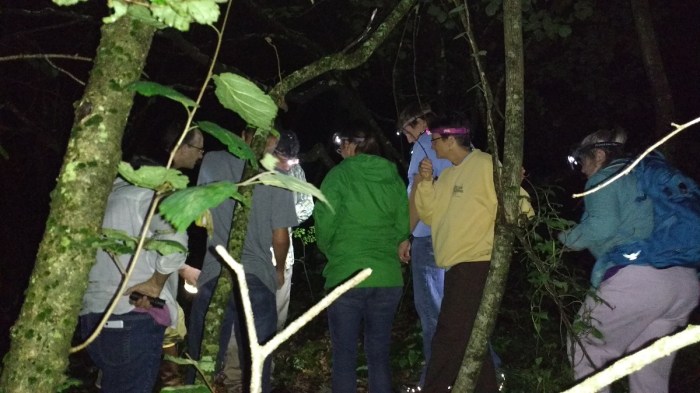 salamanderhike.8.18.17.1