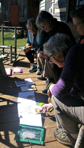 naturejournalling.sg.2.picsnip