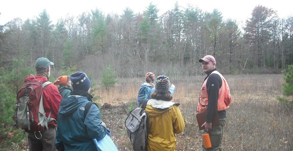 MtJoy3.forestmanagement