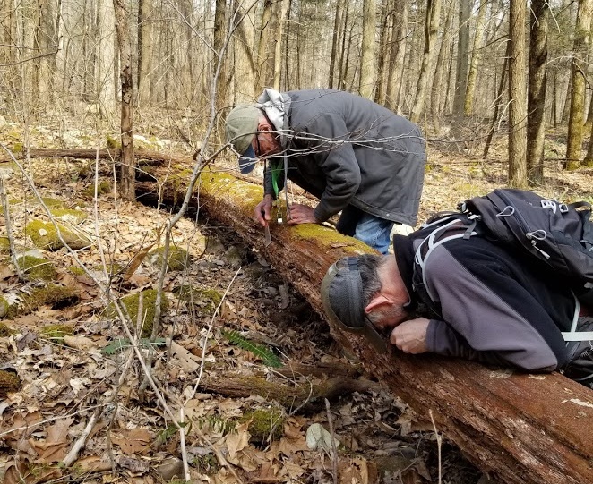 JohnBunch-JohnBauman liverworting Skidmore Fork 3-20-19.crop