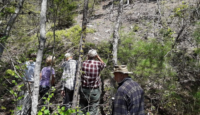 shalebarrenstrip3.mc