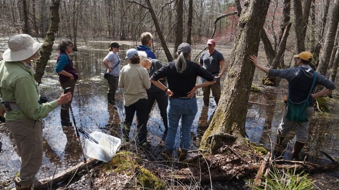 vernalpooltraining.cd.600