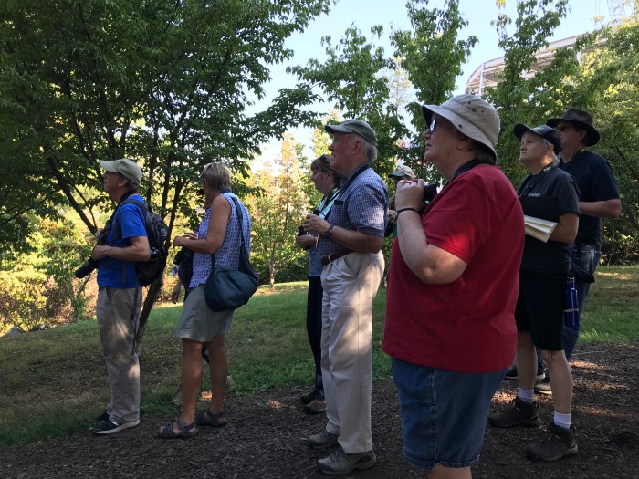 Birding Basics at Edith J Carrier Arboretum2.jpg