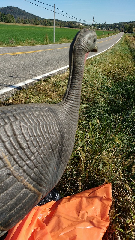 HMN.AAH.TurkeyStatue