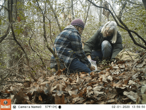 SkunkProjSettingUpOrig