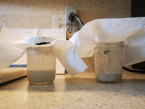 StartersGettingStarted600