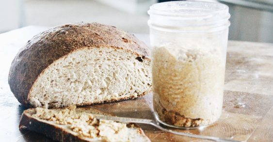 The Wild Sourdough Project
