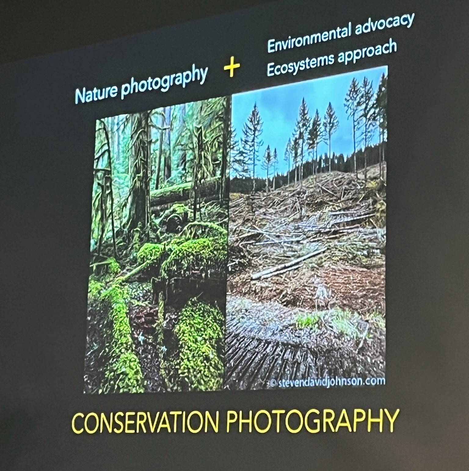 Riverine: A Tapestry of Biodiversity Through Words, Images, and Design