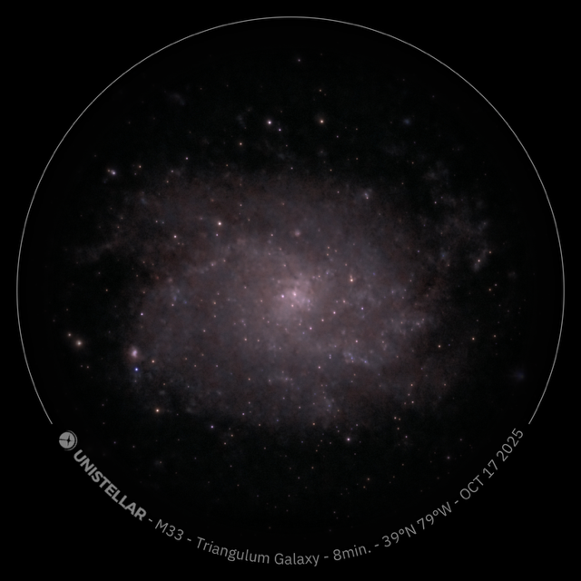 Stargazing at Starry Meadows