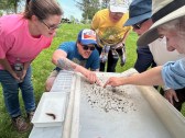 Macroinvertebrate “Petting Zoo”
